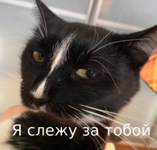 2f963735-91bb-454a-8c8b-35687f154803 —-kopiya